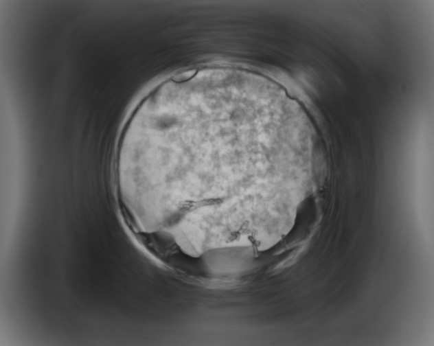 X0000083031247200703022019