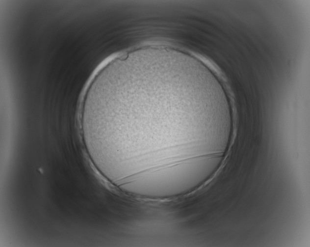 X0000083031248200703022019