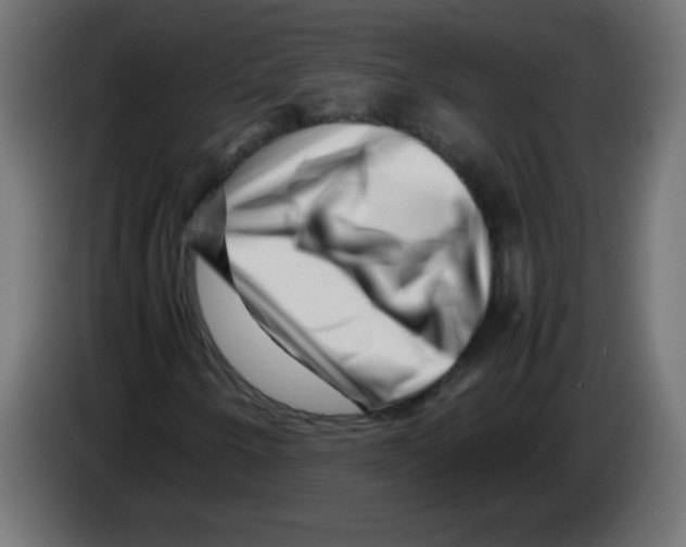 X0000083031250200703022018