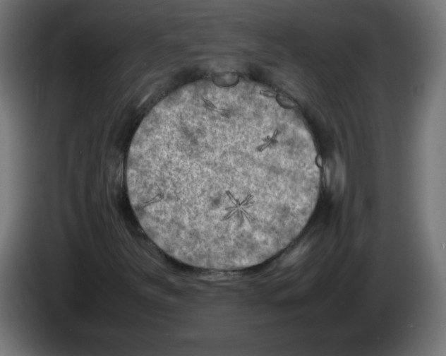 X0000083031251200703022018