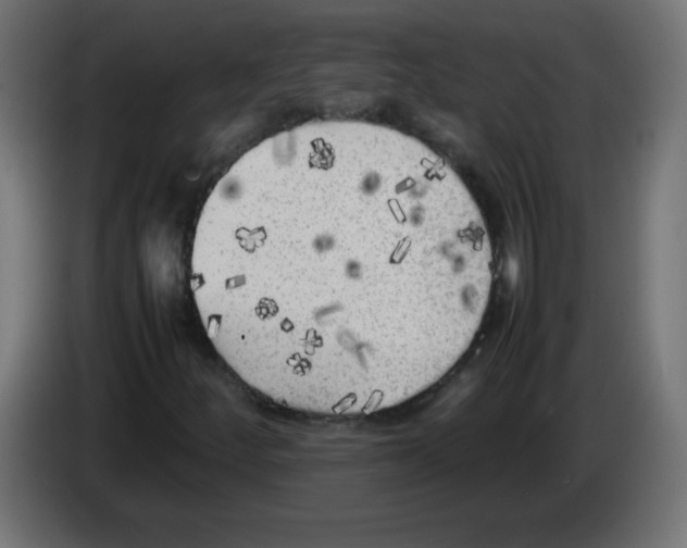 X0000083031252200703022018