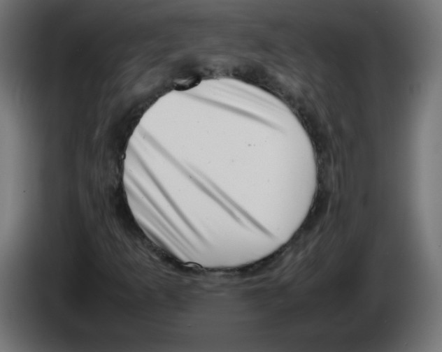 X0000083031253200703022018