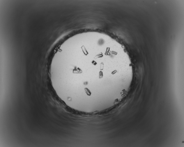 X0000083031256200703022018