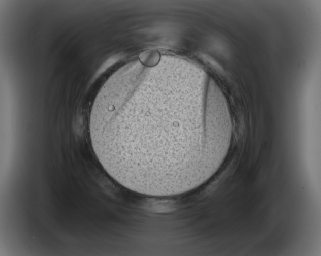 X0000083031258200703022018