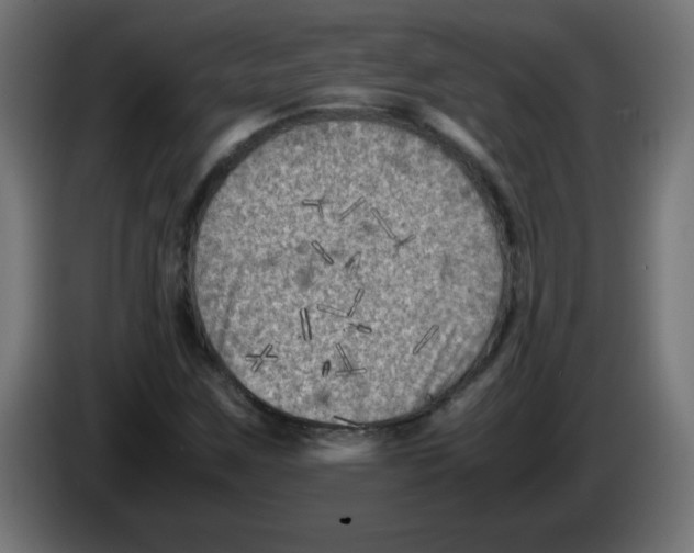 X0000083031259200703022018