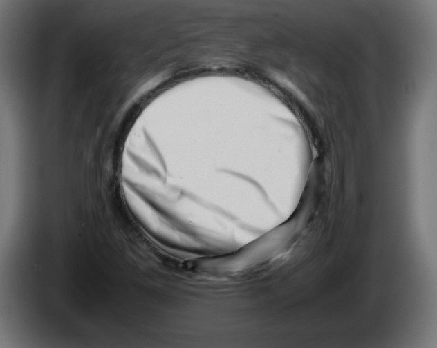 X0000083031261200703022018