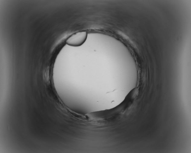 X0000083031262200703022018