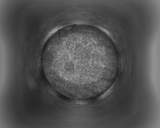 X0000083031263200703022018