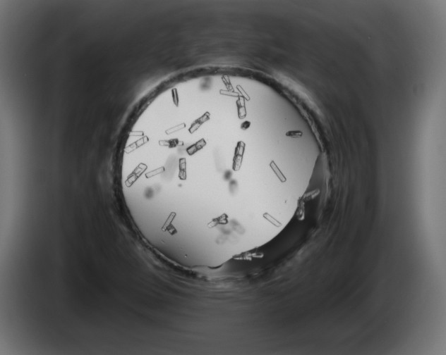 X0000083031264200703022018