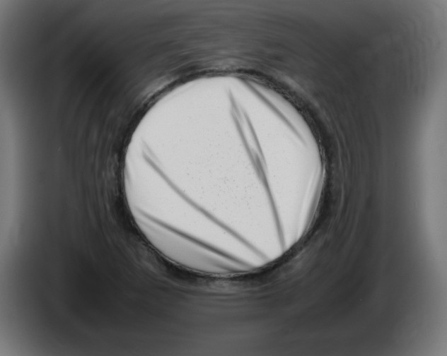 X0000083031265200703022018