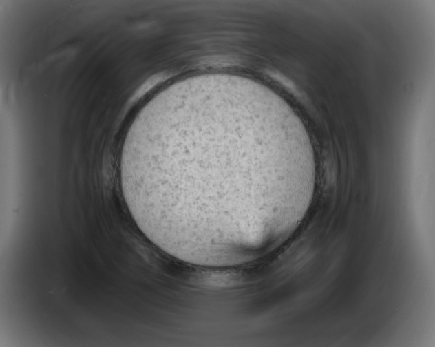 X0000083031266200703022018