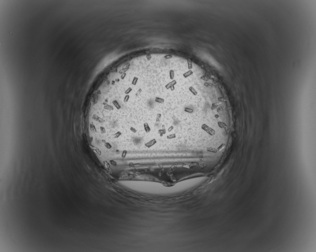 X0000083031267200703022018