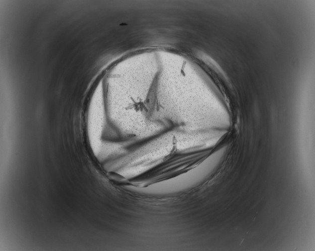 X0000083031268200703022018