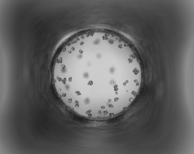 X0000083031271200703022018