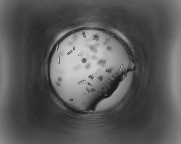 X0000083031272200703022018