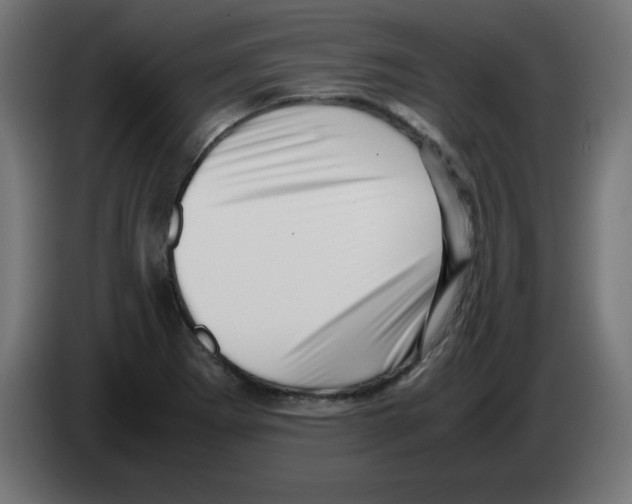 X0000083031273200703022018