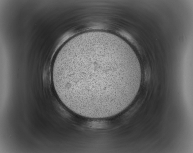 X0000083031274200703022018