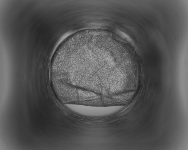 X0000083031275200703022018