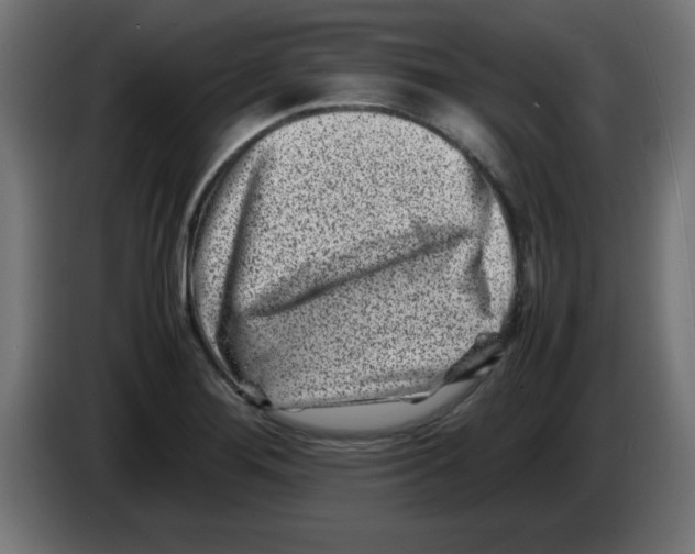 X0000083031276200703022018