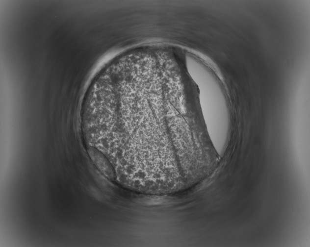 X0000083031279200703022018