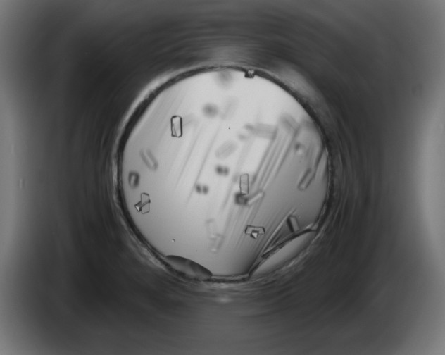 X0000083031280200703022018