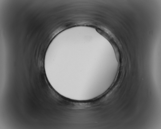 X0000083031281200703022018