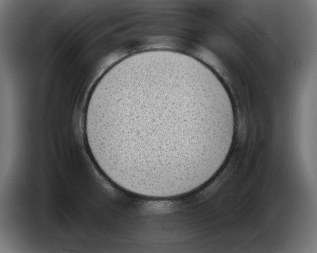 X0000083031282200703022018