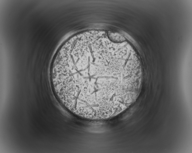 X0000083031283200703022018