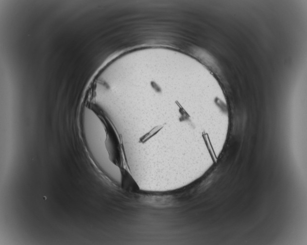 X0000083031284200703022018