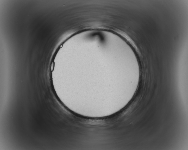 X0000083031285200703022018