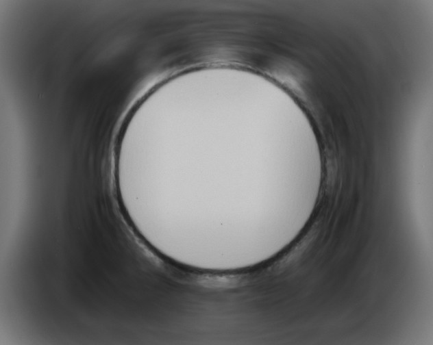 X0000083031286200703022018