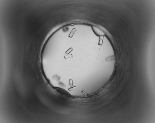 X0000083031287200703022018