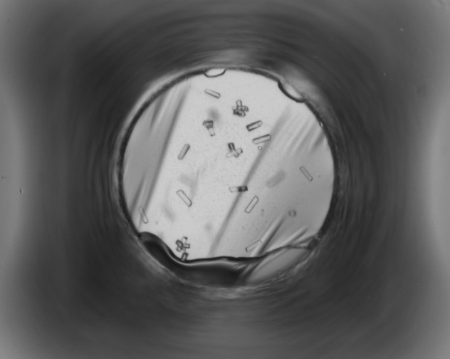 X0000083031288200703022018