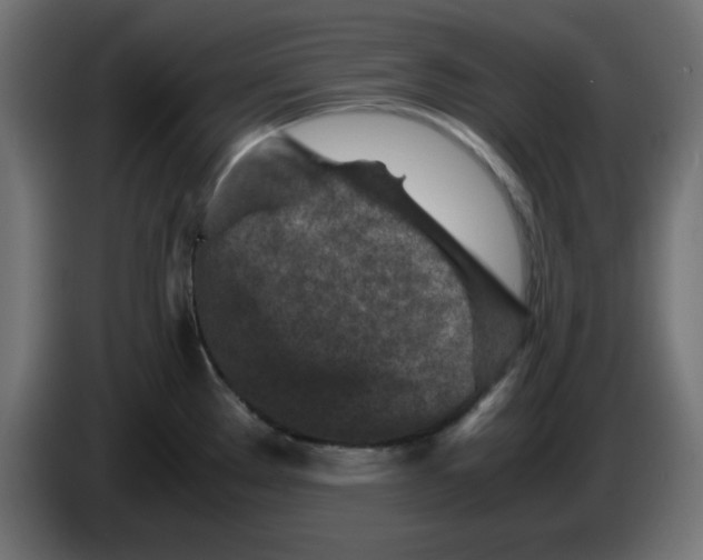 X0000083031289200703022018