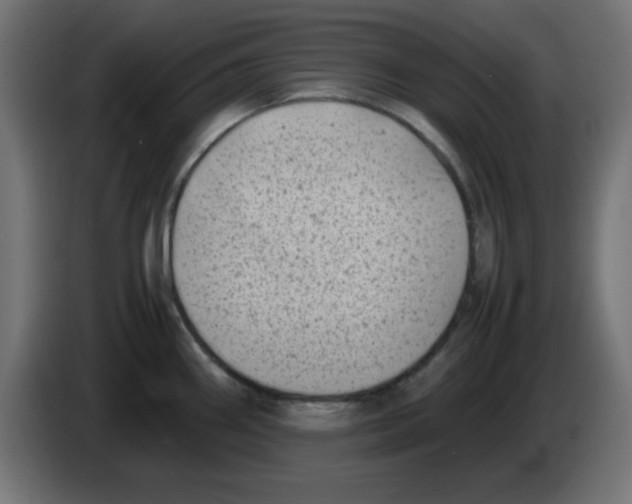 X0000083031290200703022018