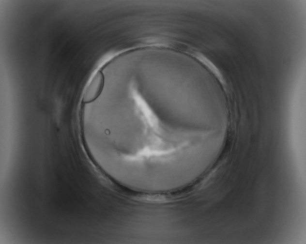 X0000083031291200703022018