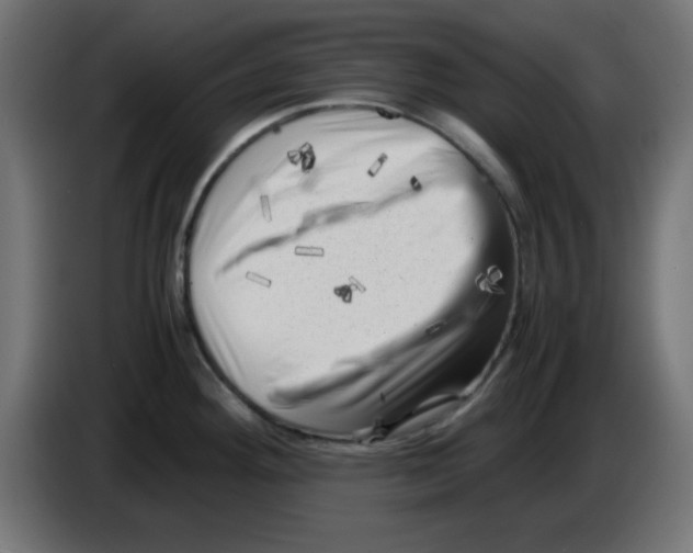 X0000083031292200703022018