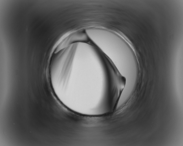 X0000083031293200703022018