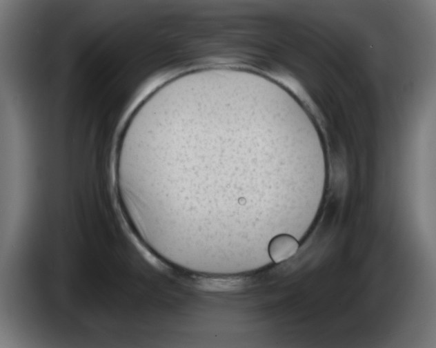 X0000083031294200703022018