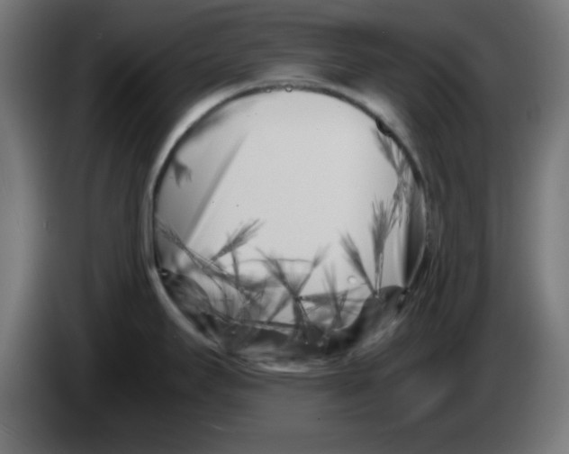 X0000083031295200703022018