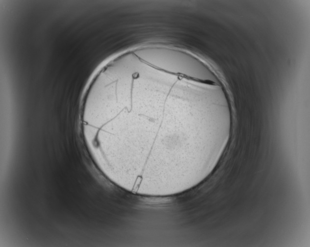 X0000083031296200703022018