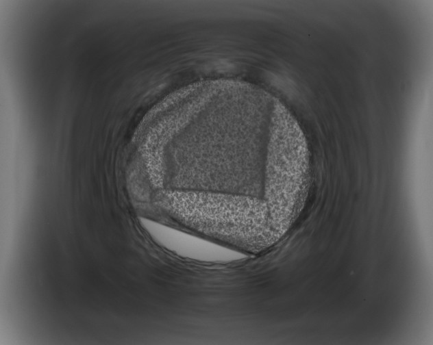 X0000083031297200703022017