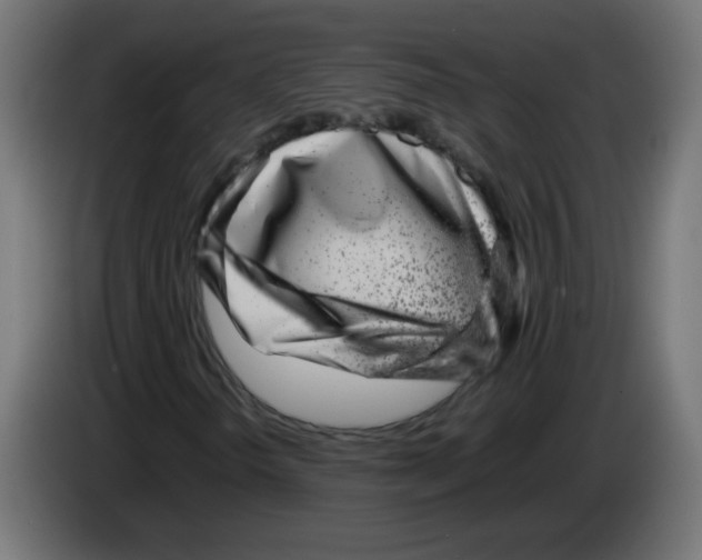 X0000083031298200703022017