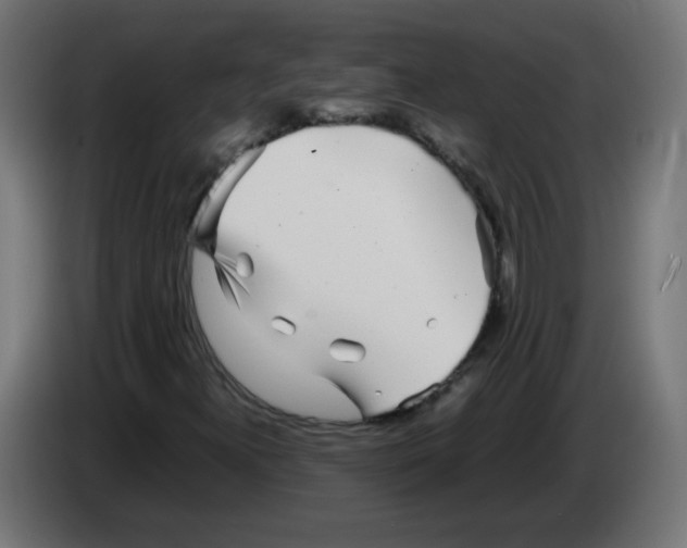 X0000083031300200703022017