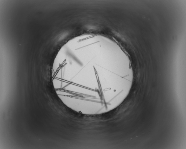 X0000083031301200703022017