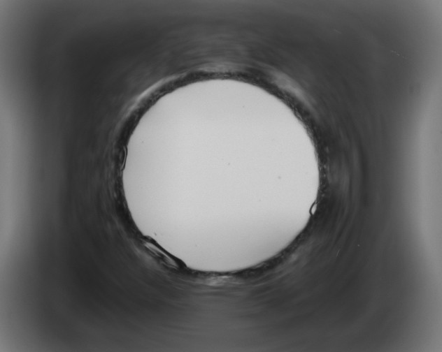 X0000083031304200703022017