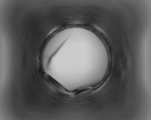 X0000083031305200703022017