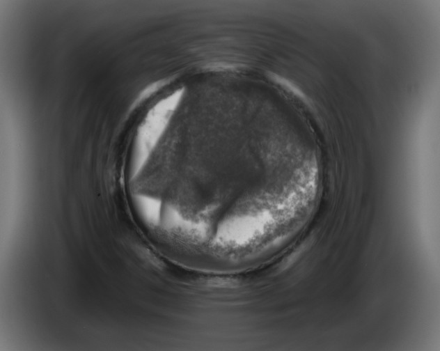 X0000083031306200703022017