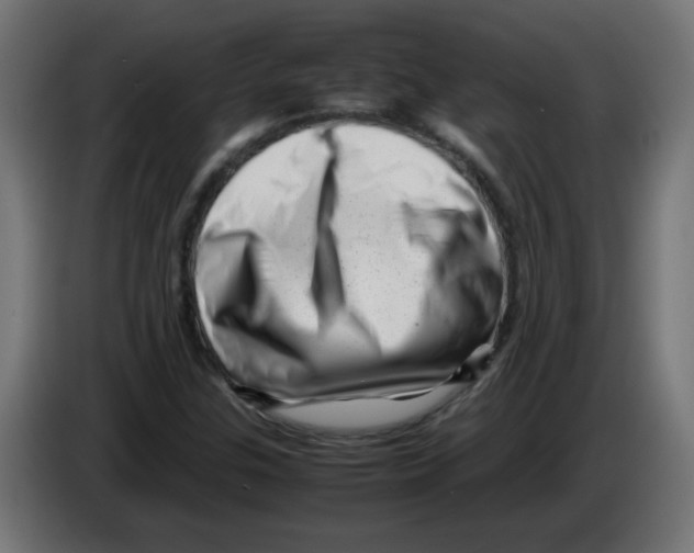 X0000083031307200703022017