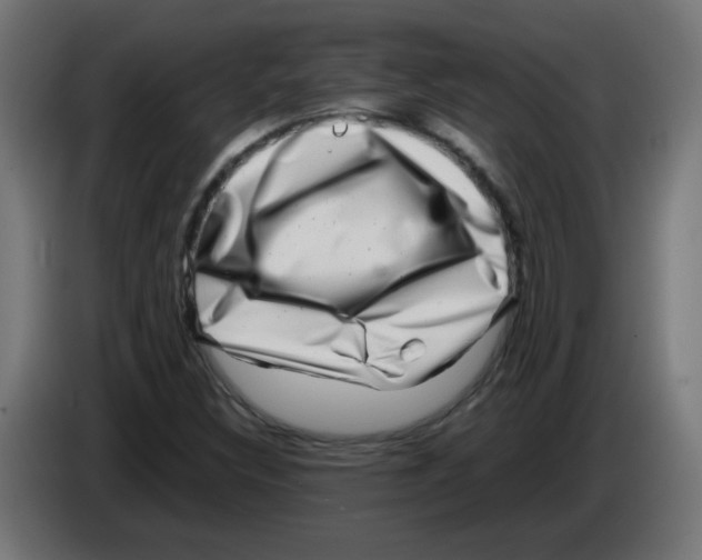 X0000083031308200703022017